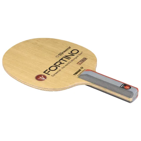 Fortino Pro DC Inside